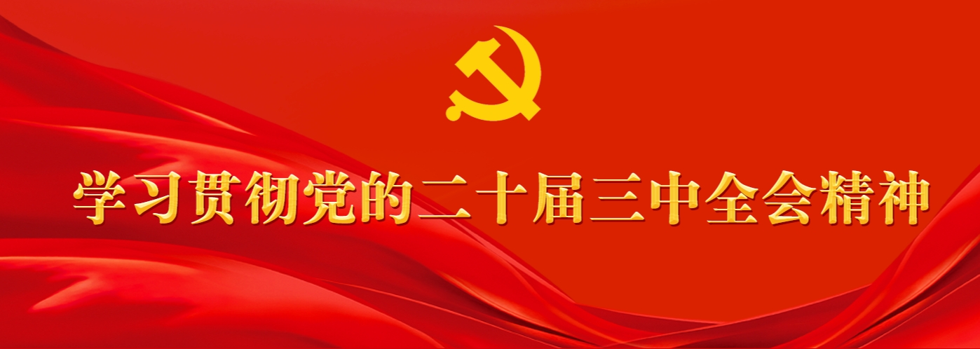 学习贯彻党的二十届三中全会精神